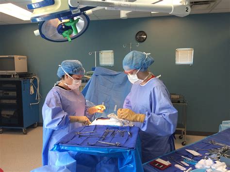 surgical tech programs chicago